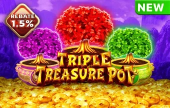 Triple Treasure Pot