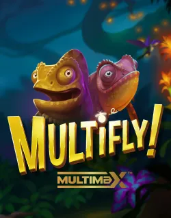 Online Slot Games - Multifly!