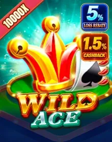 Best Online Casino Games - Wild Ace