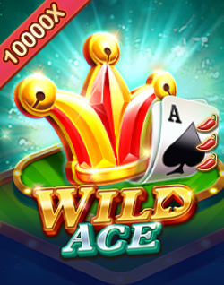 Casino Plus Recommended Games-Wild Ace