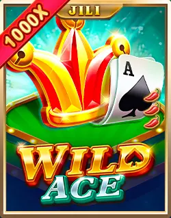 Casino Plus Slot Games-Wild Ace