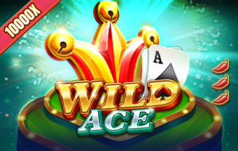 Best Online Casino Games - Wild Ace